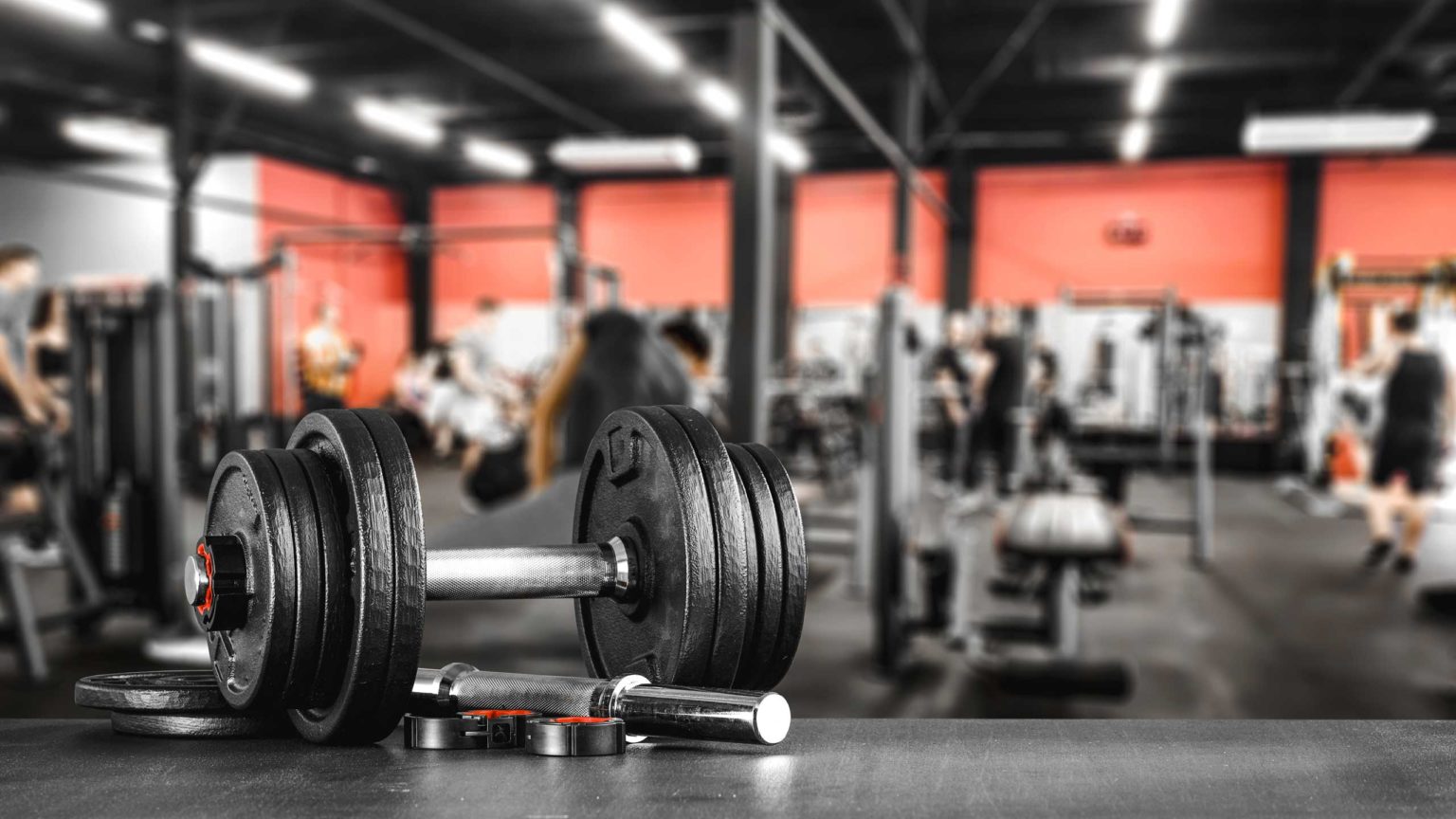 Pure Gym The Fitness Market Between Polarization and Customization MARMIND